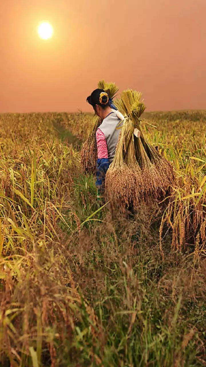 कधी मिळतो हप्ता