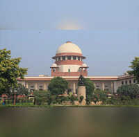 Cant set house on fire to roast a pig says SC while declining plea seeking to study link between porn watching sex crimes