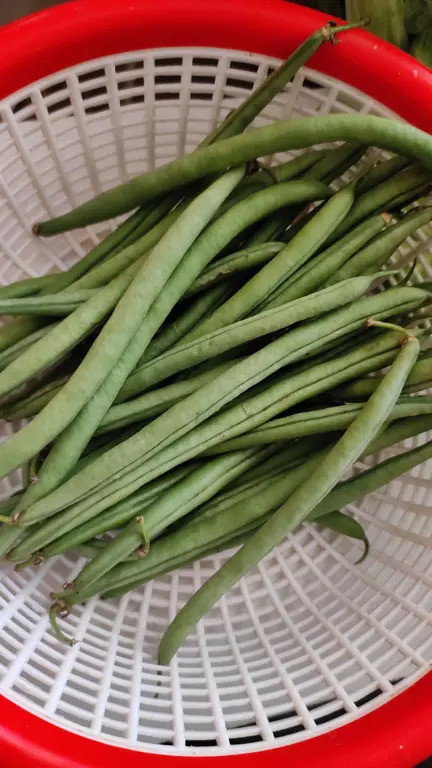 Green beans