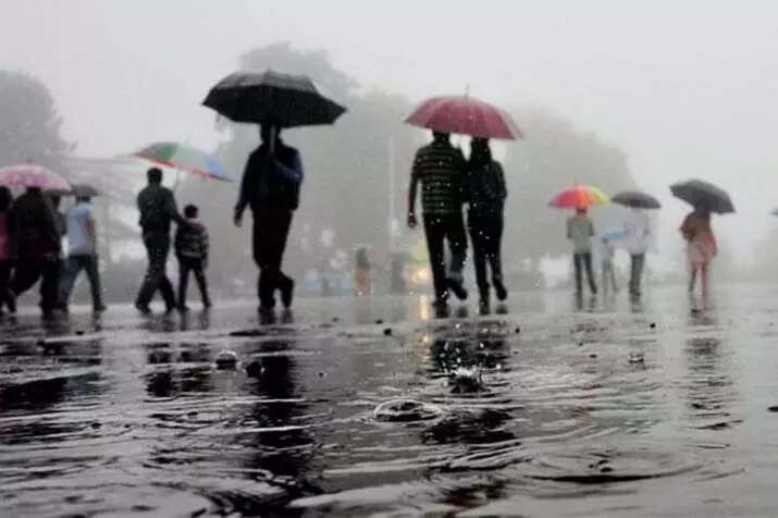 Cold day in Delhi, with light rain in some parts, minimum temperature recorded at 242 degrees Celsius