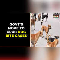 Kerala Pet dog attacks veterinary doctor during administration of anti