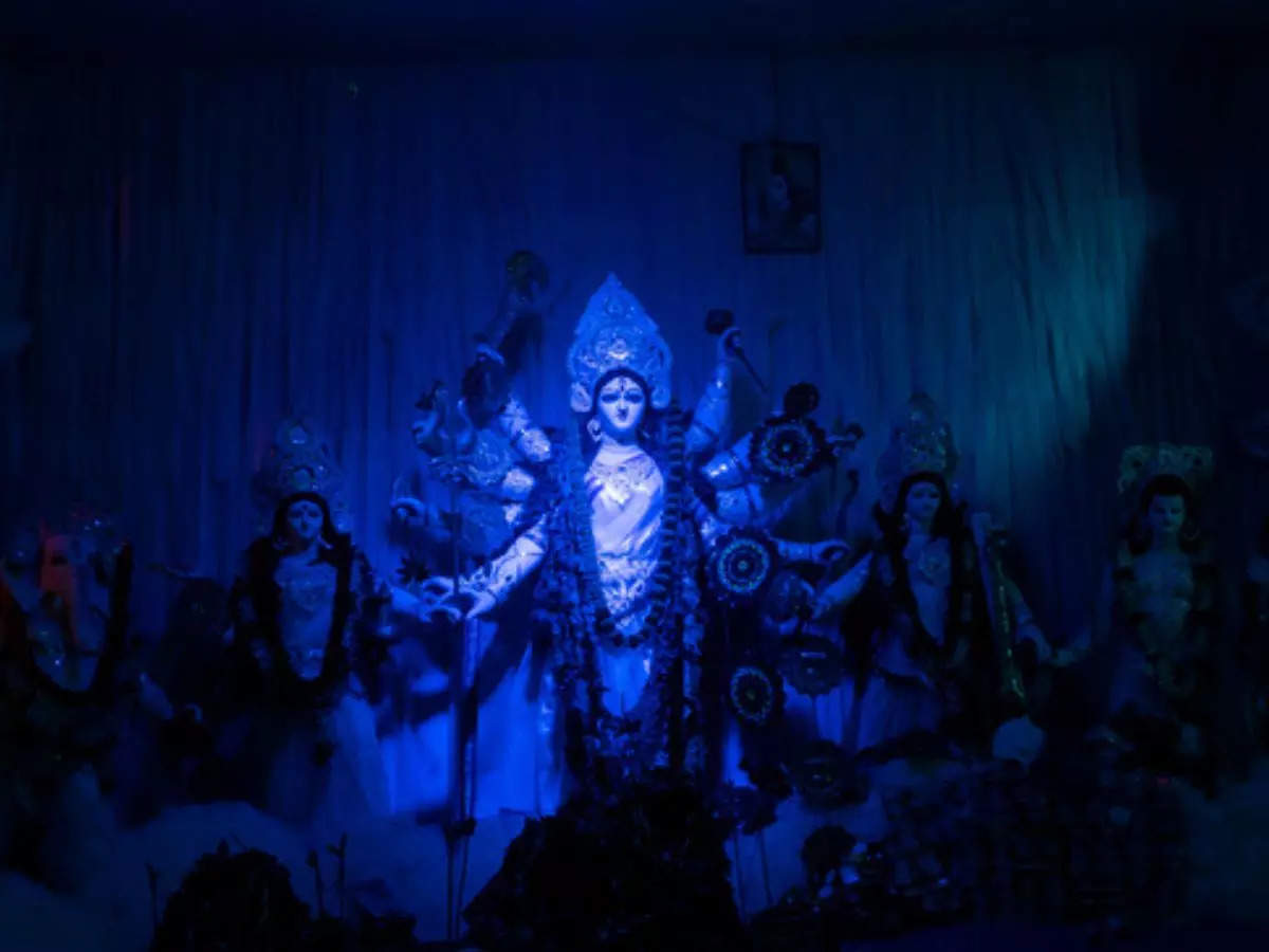 From nature to the maddening race of life, the themes of Durga Puja in Kolkata are food for thought