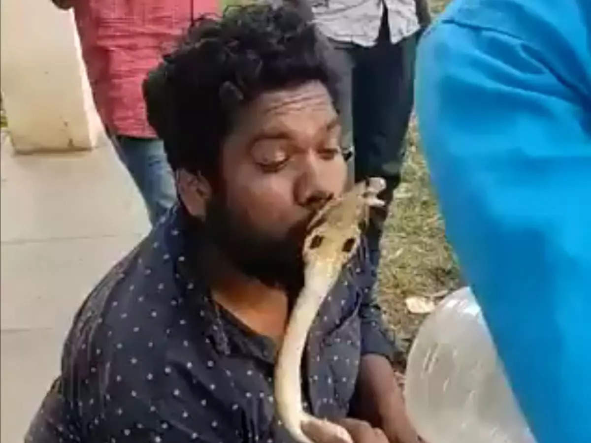 A man in Karnataka's Shivamogga kisses a cobra | Screengrab from video