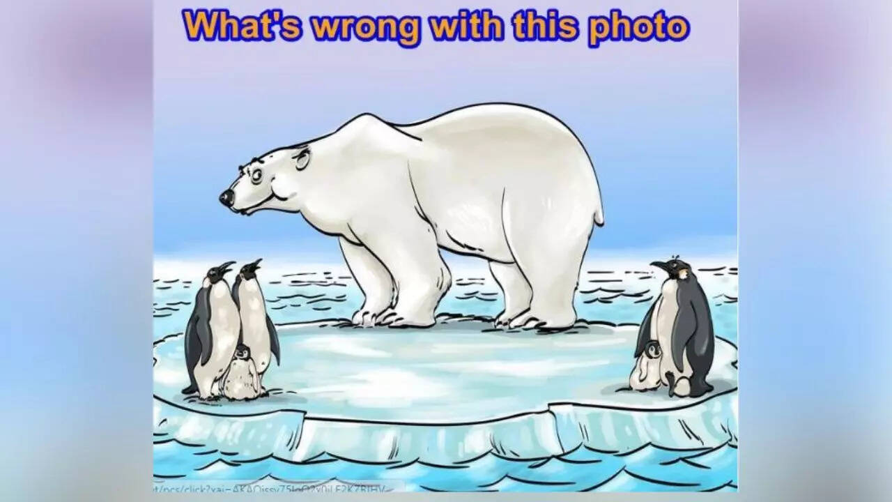 Brain teaser: Spot the mistake in the image in 9 seconds and prove that  your logic is on point