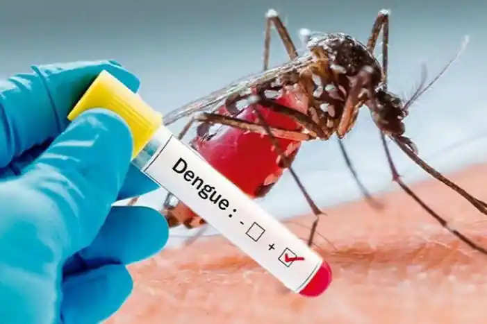 Delhi Dengue Over 400 new dengue cases reported in Delhi rises to 937