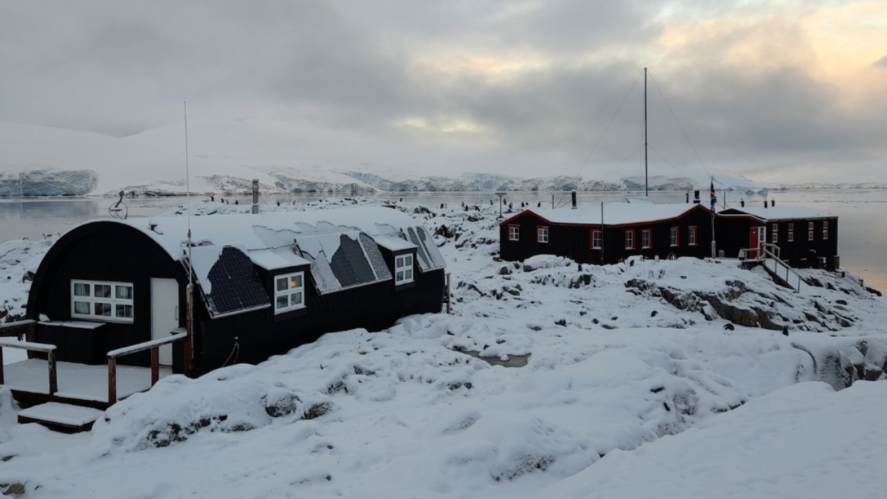 Four women to run world's most remote post office and count penguins in Antarctica