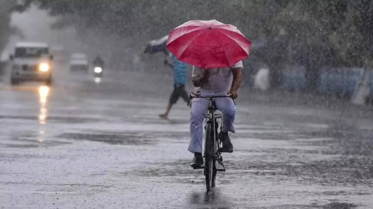 Weather Update: IMD predicts rainfall in southern and northeastern India over nest 5 days