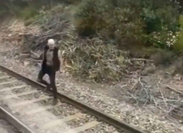 Man throws rocks at train