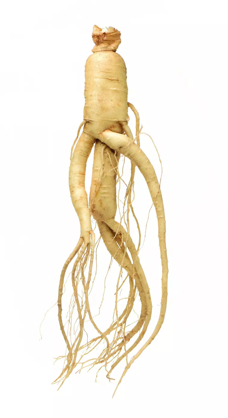 Ginseng