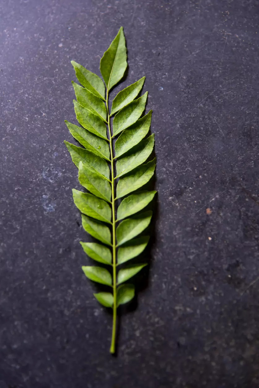 Curry leaves