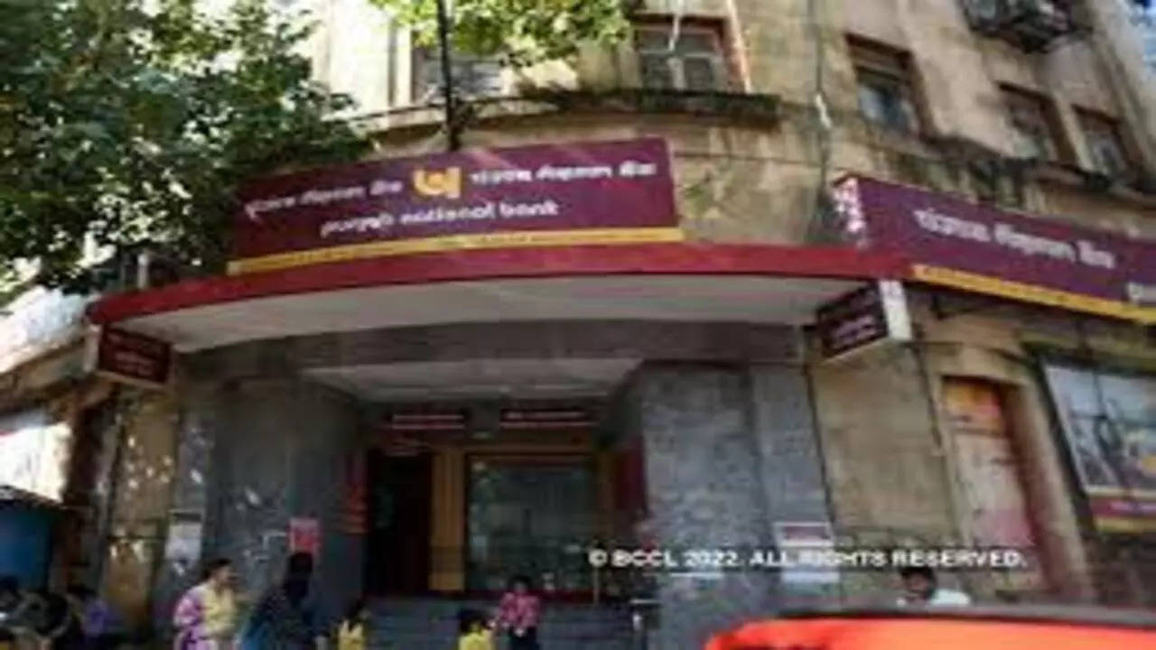 PNB WhatsApp banking Check how to activate the services offered to customers and non-customers