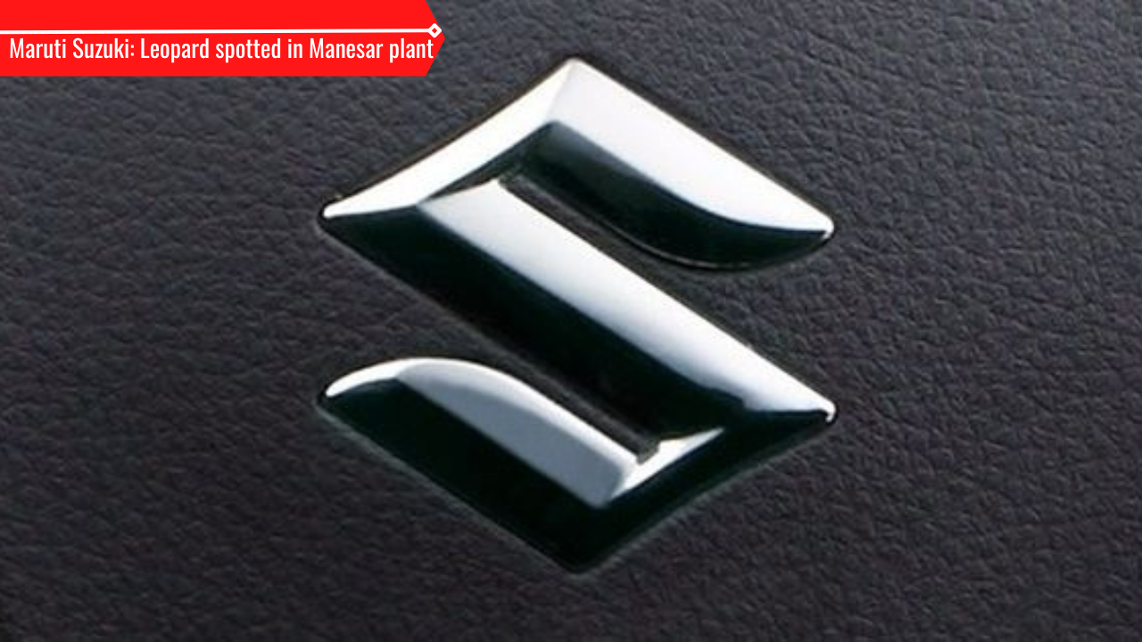 Leopard spotted in Maruti Suzuki's Manesar plant, still to be traced