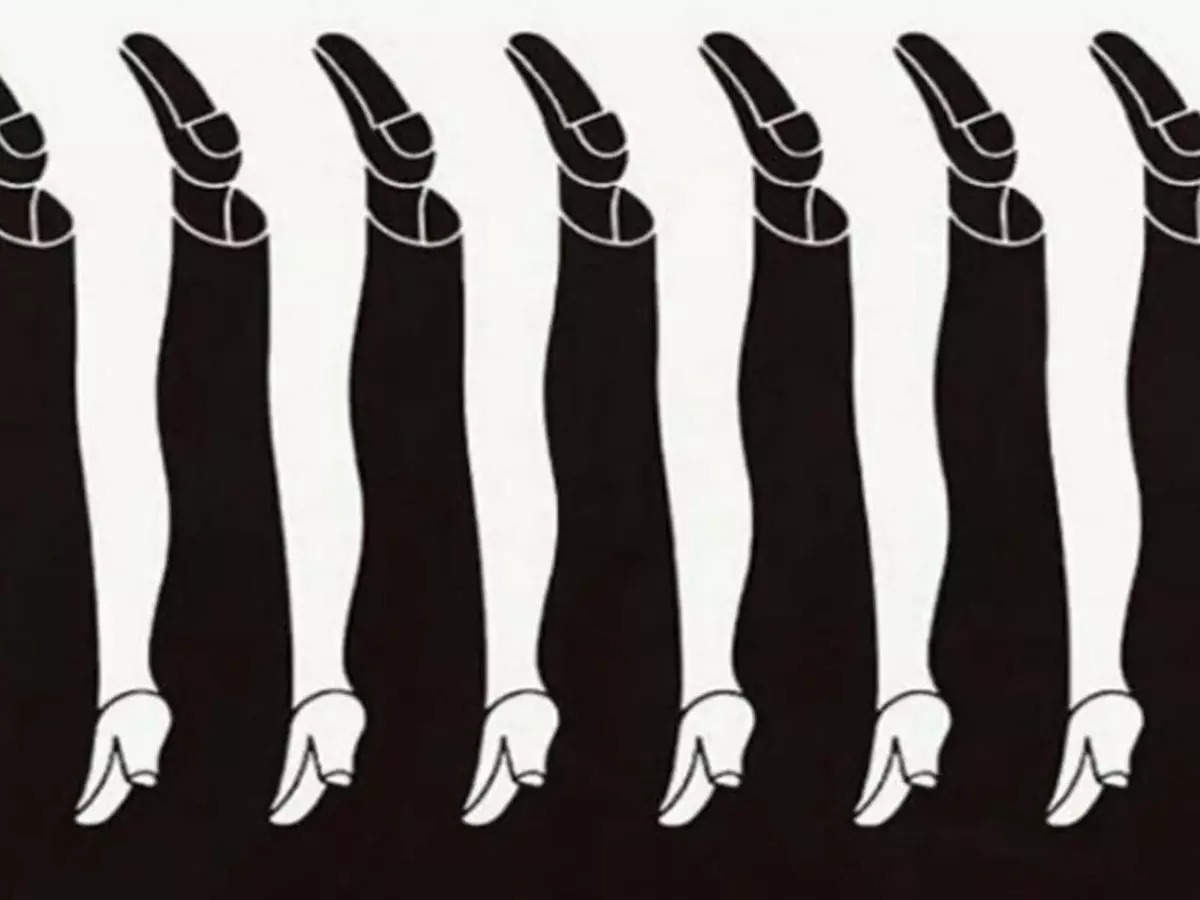 Optical Illusion Personality Test Reveals How Well Communicate Depending On The Kinds Of Legs 