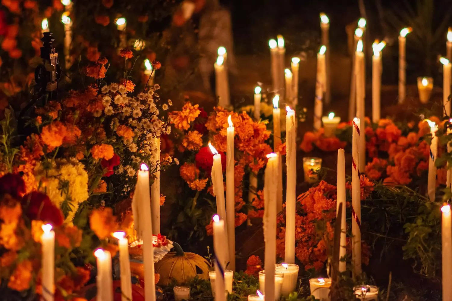 All Saints' Day: History of the day and how it is celebrated across the