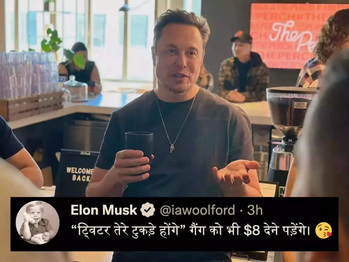 American-Australian Hindi teacher Ian Woolford poses as Elon Musk's parody account