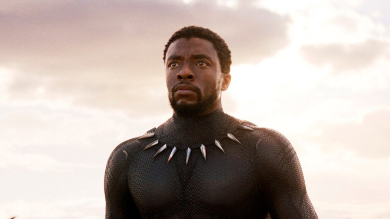 Black Panther: Wakanda Forever opens at theatres on November 11