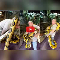 Viral video of snake handler squeezed by 20-foot-long Python will leave ...