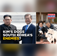 How dogs gifted by North Korean leader Kim Jongun trigger political