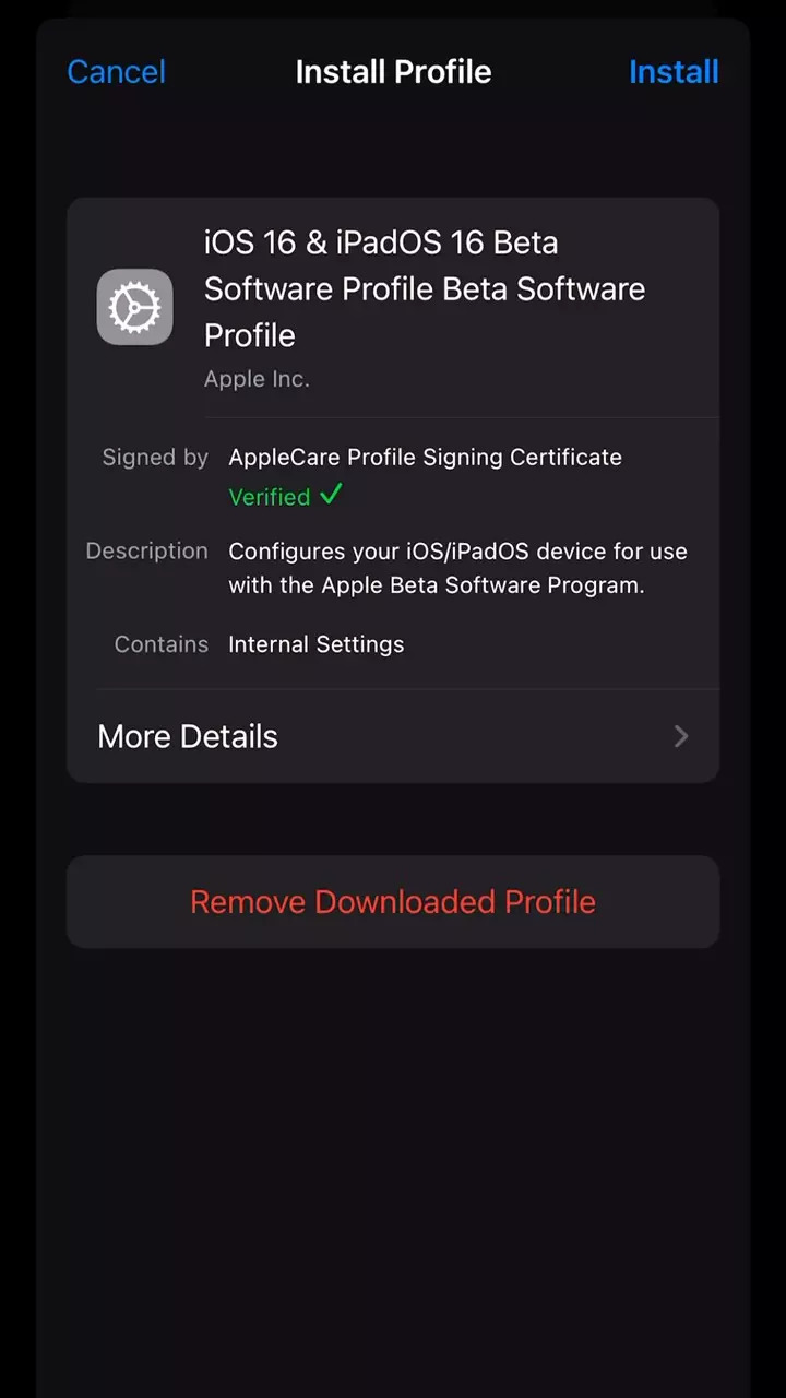 Install iOS 16 Public Beta profile