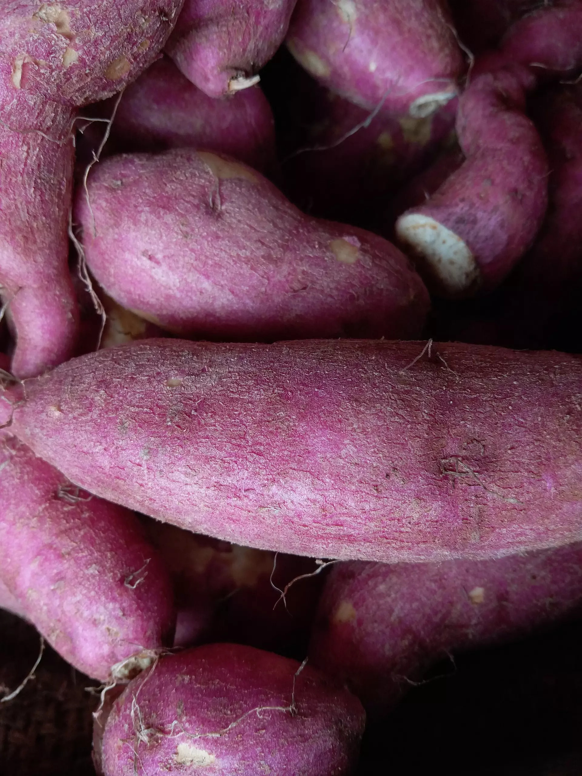 Sweet potatoes