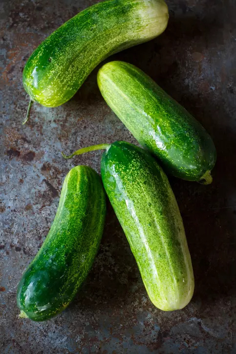 Cucumber