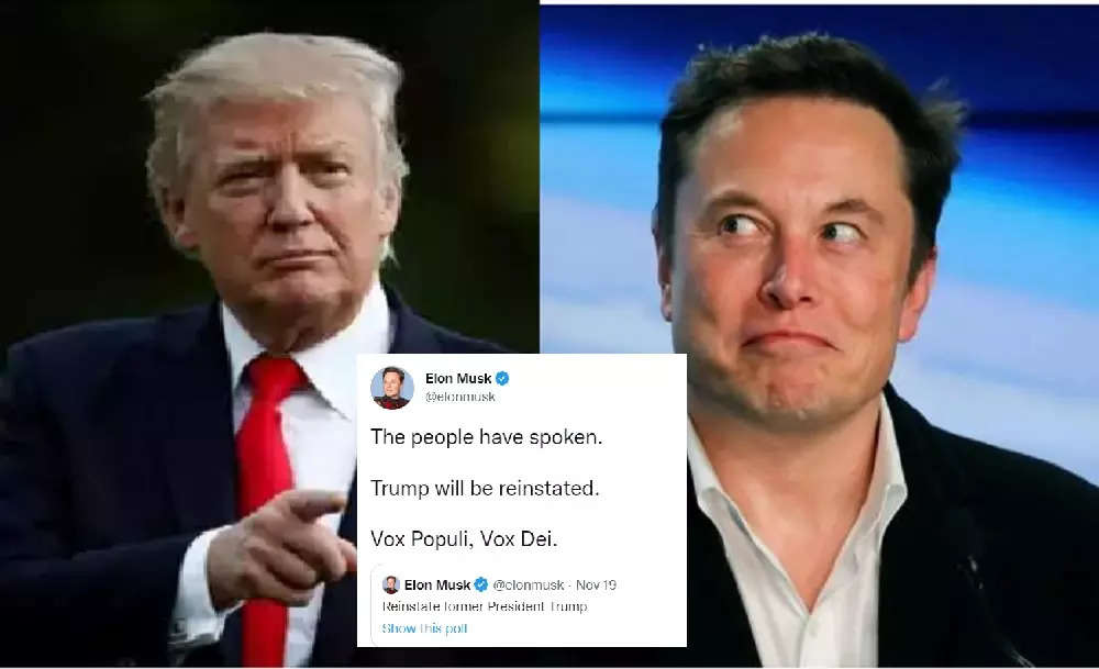 The People Have Spoken Trump Will Be Reinstated Says Elon Musk After 518 Users Vote Yes 