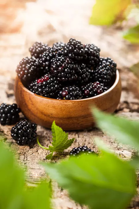 Blackberries