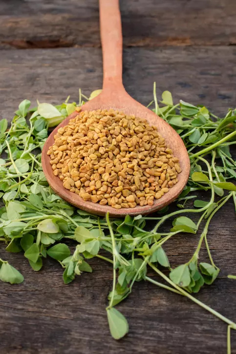 Fenugreek leaves