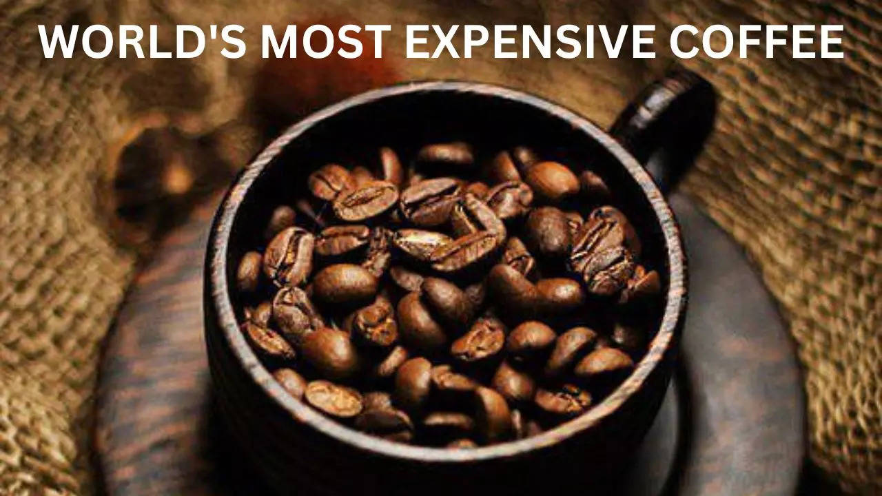 Indonesia has world's most costly coffee made from animal poop