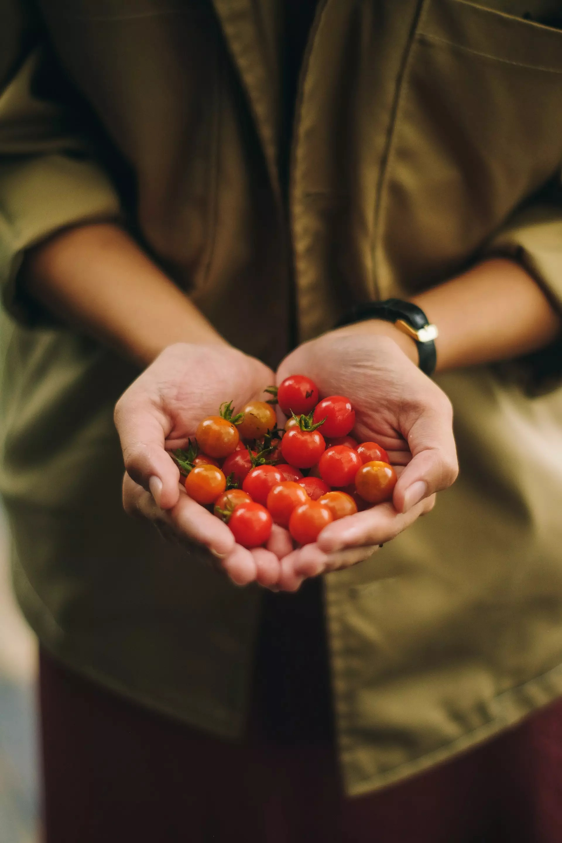 Tomatoes