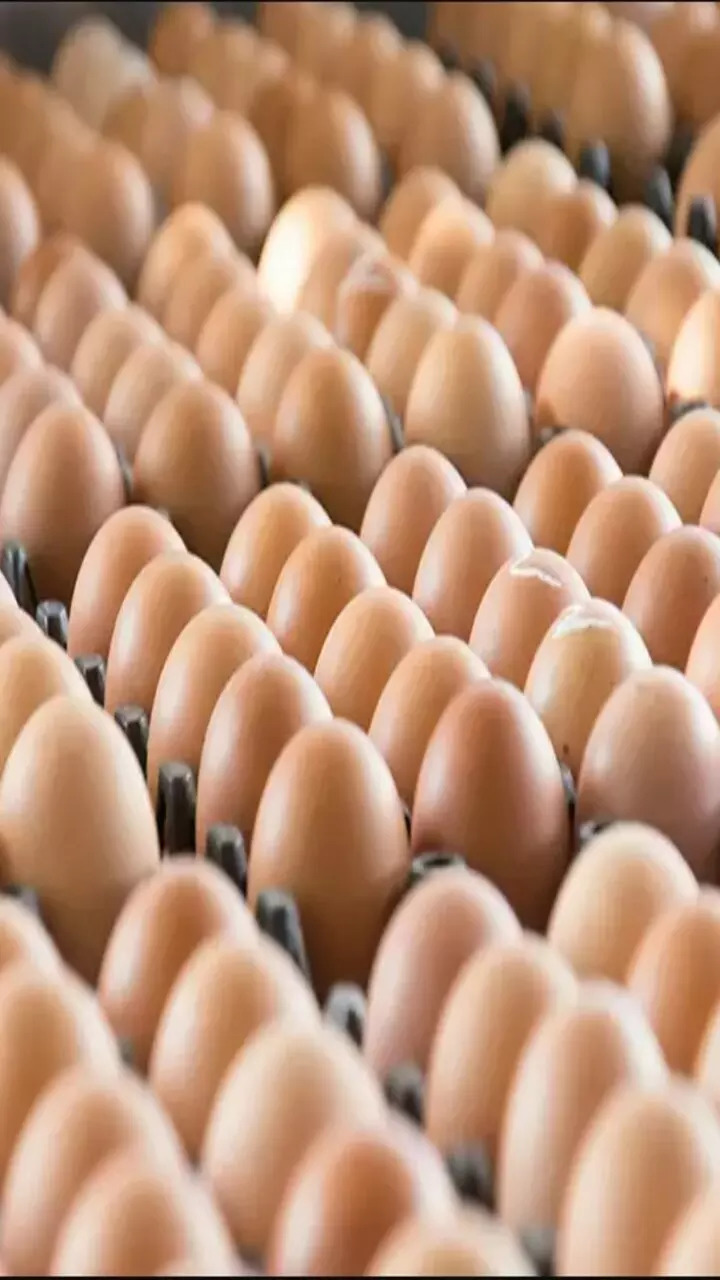 Qatar turns to Tamil Nadu for eggs