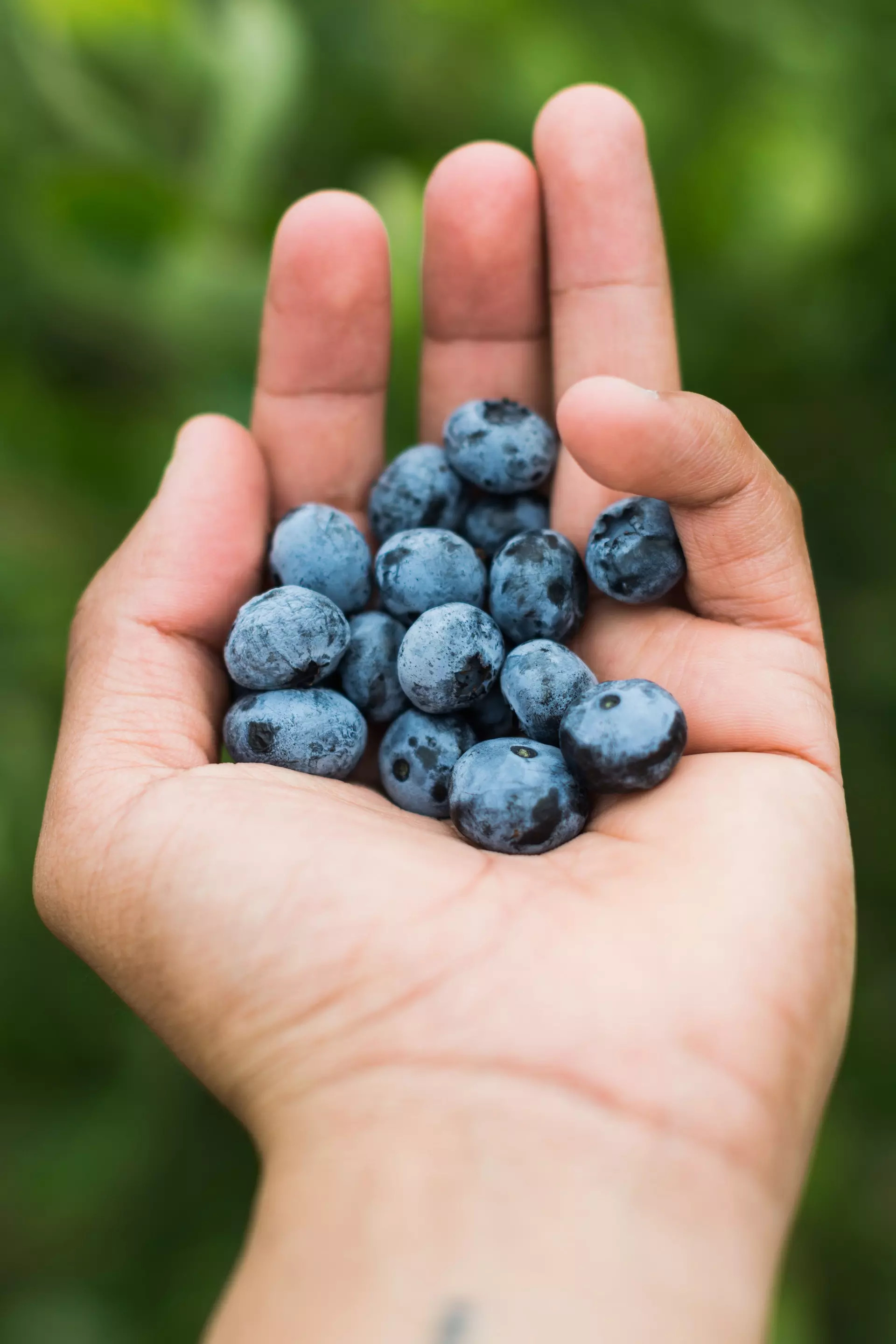 Blueberries