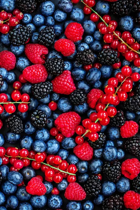 Berries