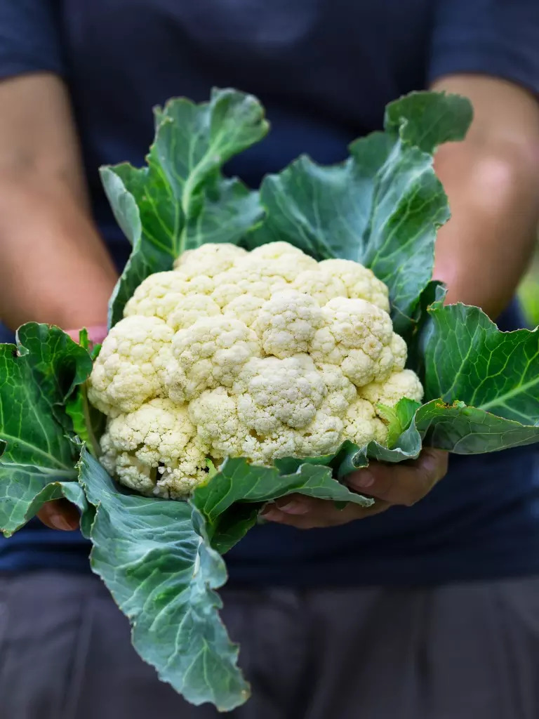 Cauliflower