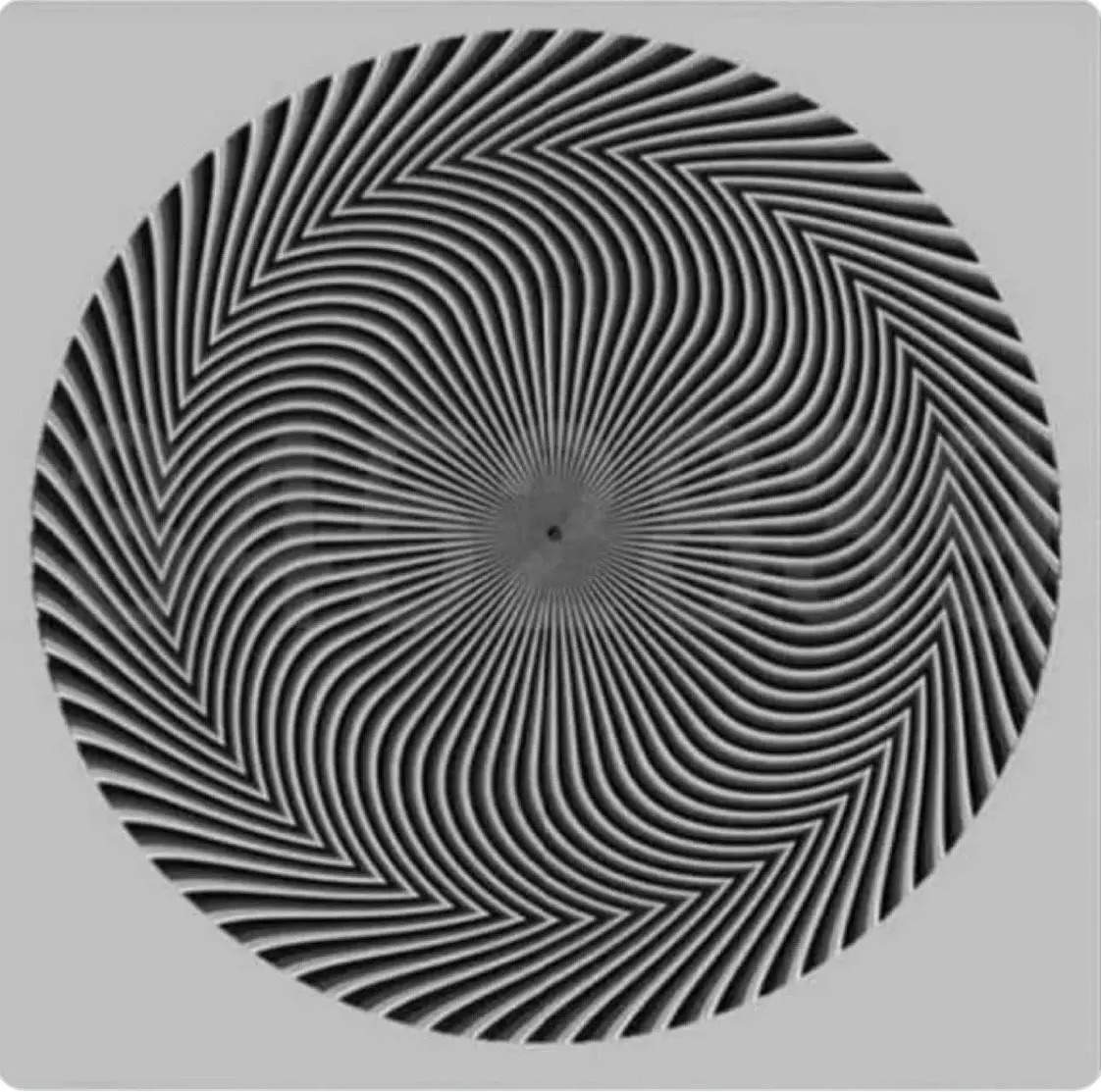 Optical illusion triggers debate about hidden number inside circle