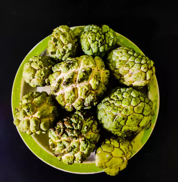 Custard apple