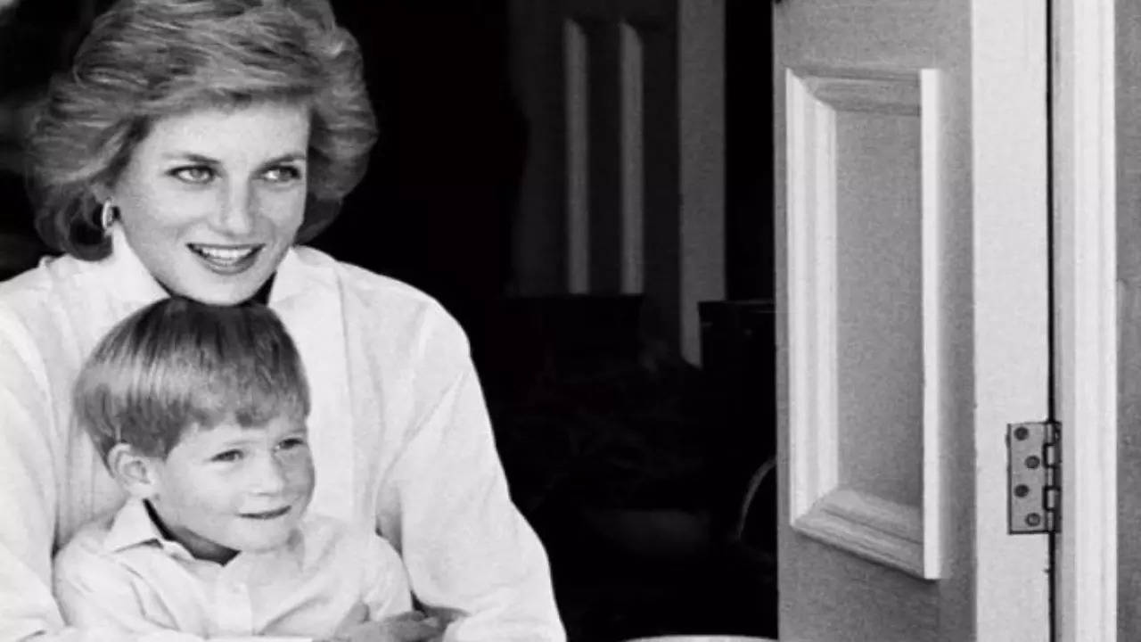 Prince Harry says he couldn't grieve Princess Diana's demise due to THIS reason: We had two hats to wear…