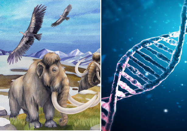 Descubren el ADN más antiguo conocido que muestra cómo era la vida hace dos millones de años