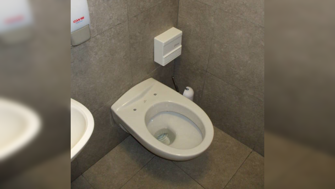 The reason why some toilets don’t have seats and lids on them will