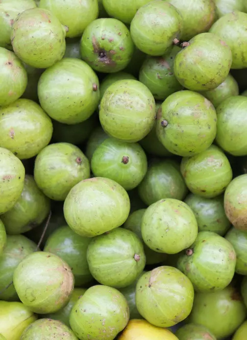 Eat amla