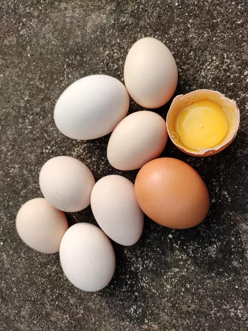 Egg hair mask