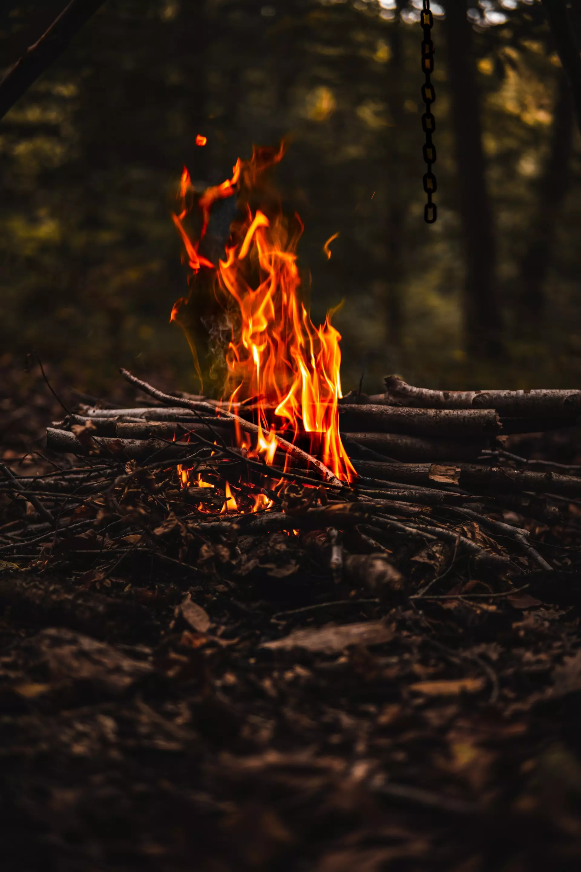 Burn the clove pods for instant relief