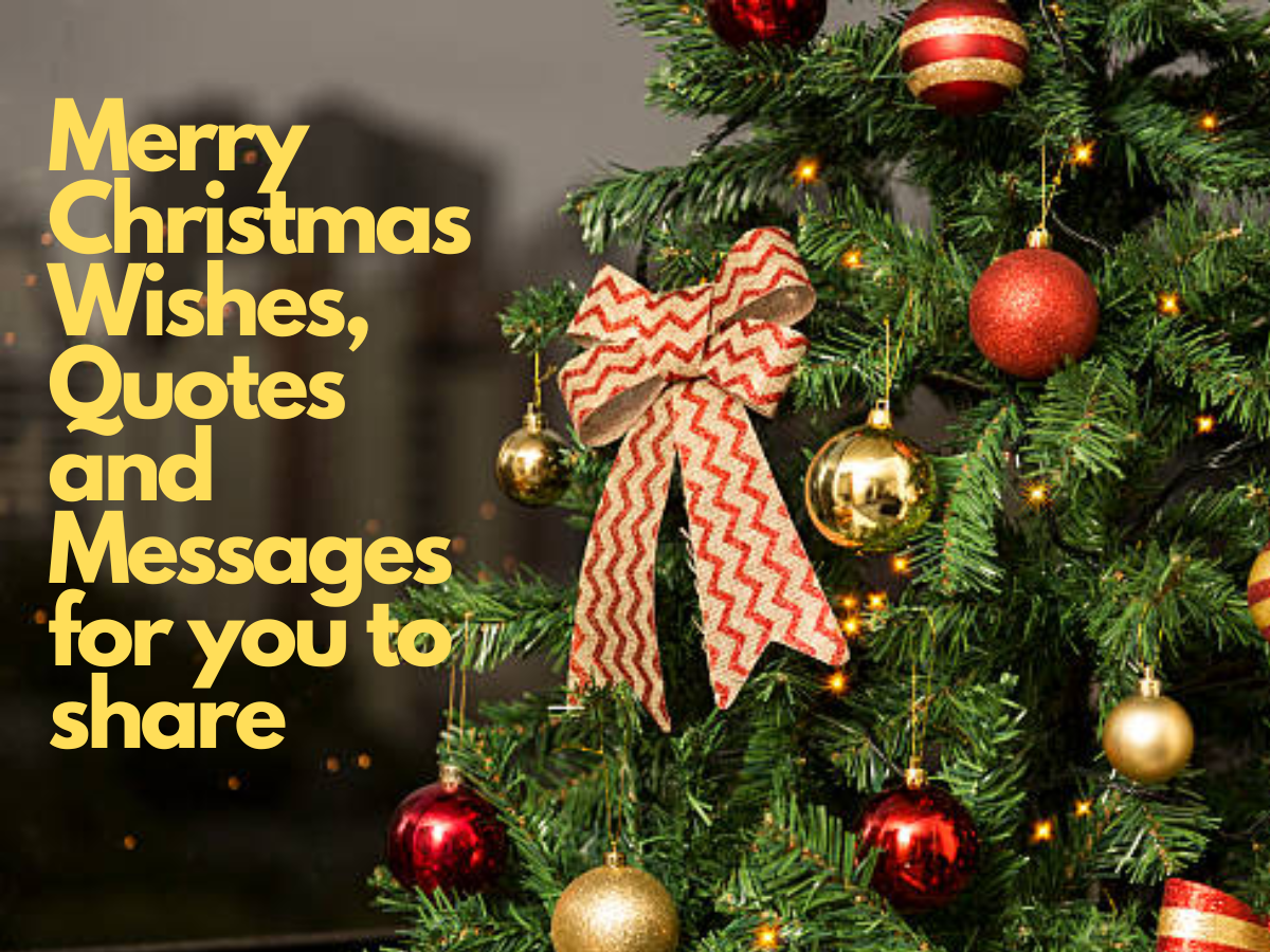 Merry Christmas 2022 Wishes, Images with Quotes, Greetings, Facebook and  WhatsApp Messages & Status | Viral News, Times Now