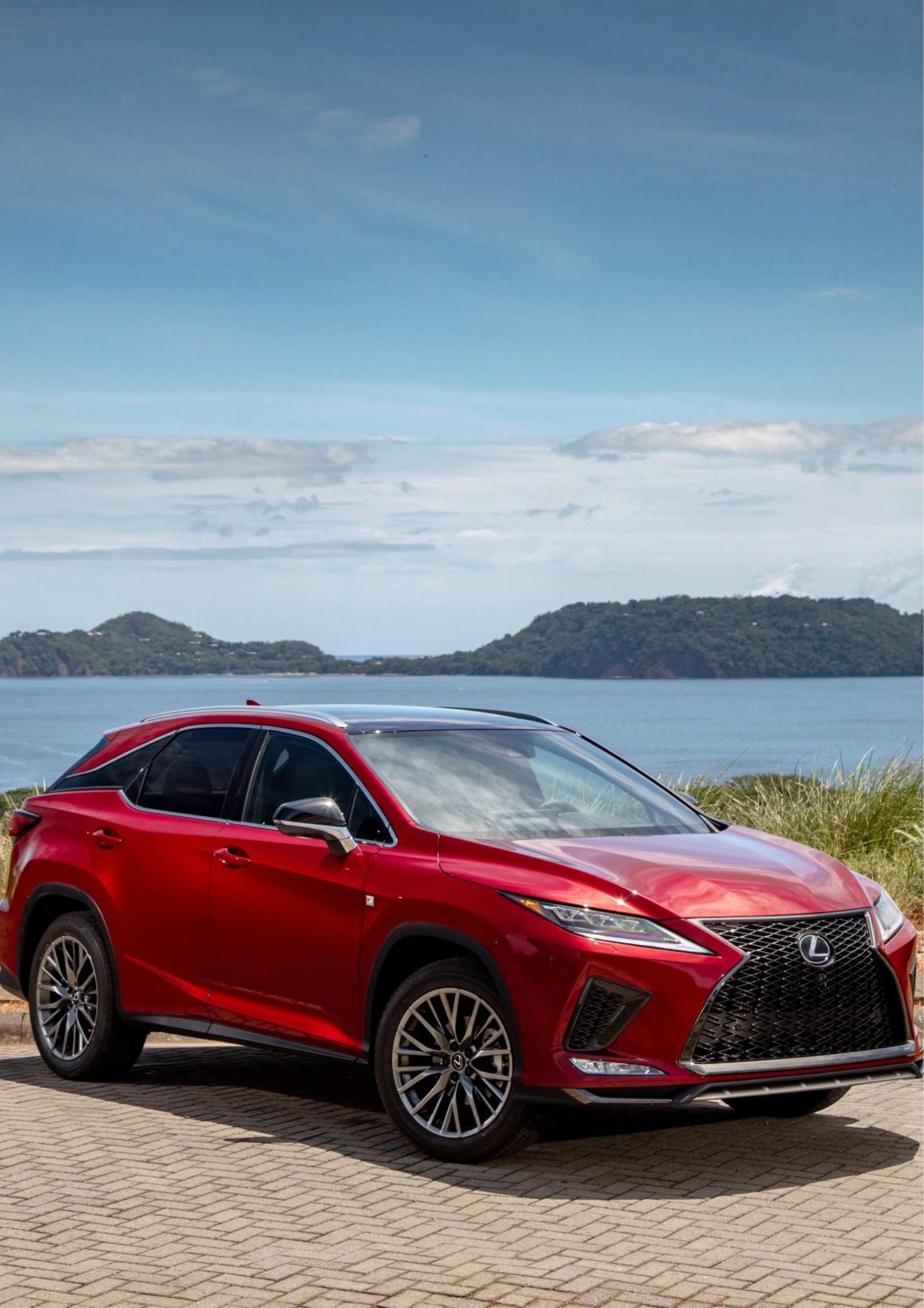 Lexus RX SUV