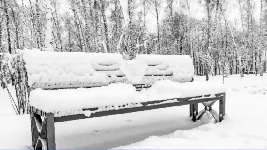 Optical illusion | Only the eagle-eyed can spot a rabbit among the snow in  20 seconds