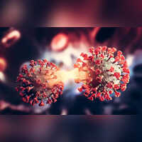 First case of XBB.1.5 variant responsible for New York Covid hospitalisations, surge found in Gujarat