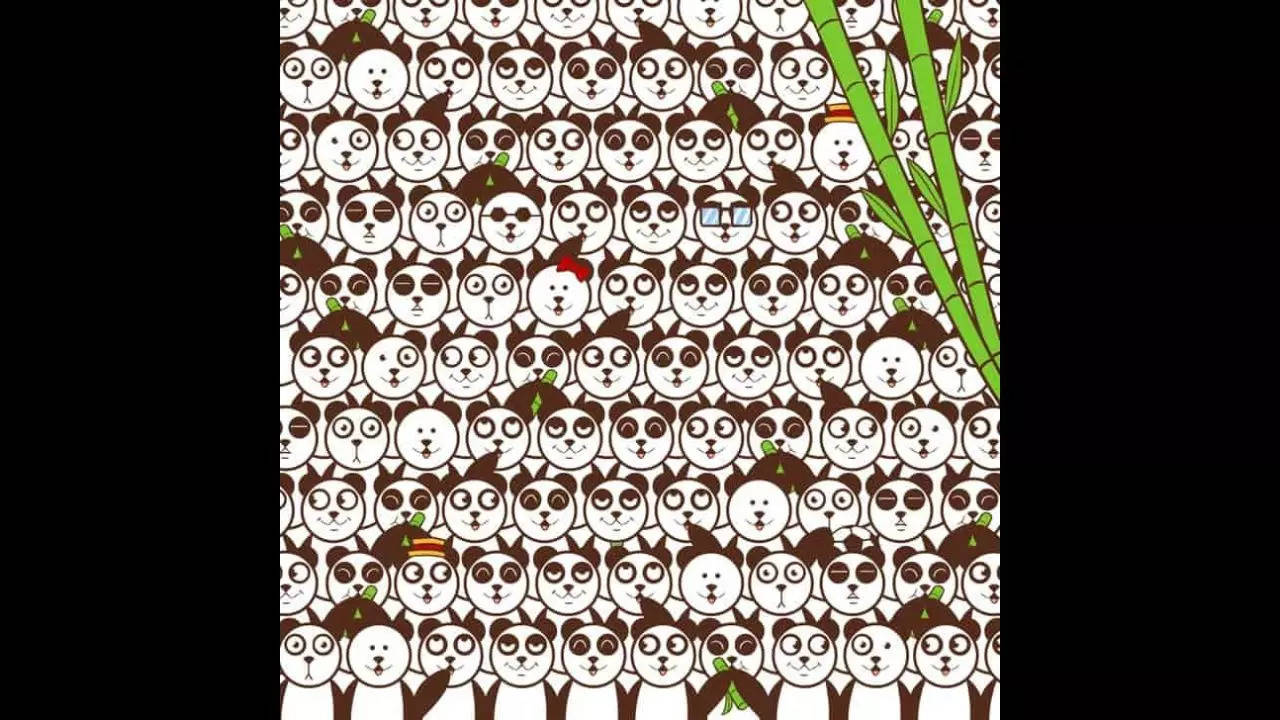 Optical illusion Can you find soccer ball among the pandas in 15 seconds Challenge yourself