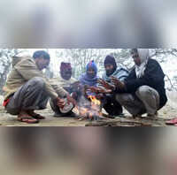 cold conditions, ​Uttar Pradesh weather, Uttar Pradesh ​cold wave death