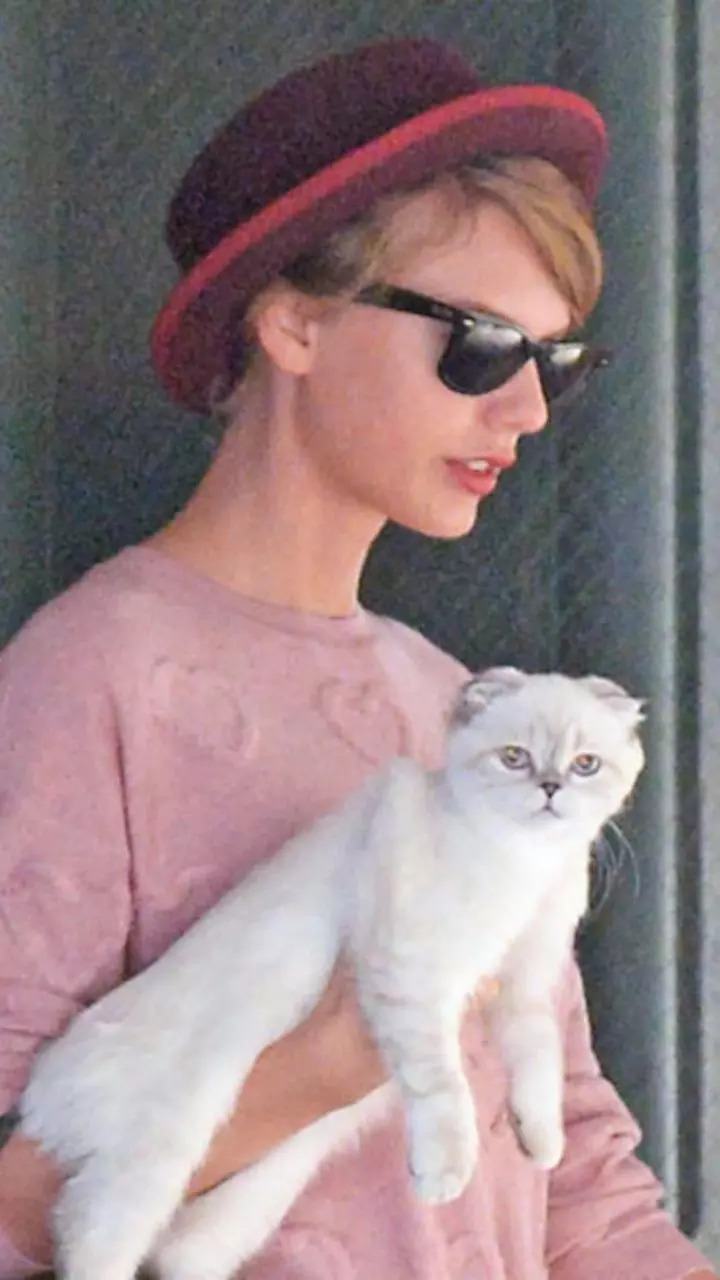 Taylor Swifts cat