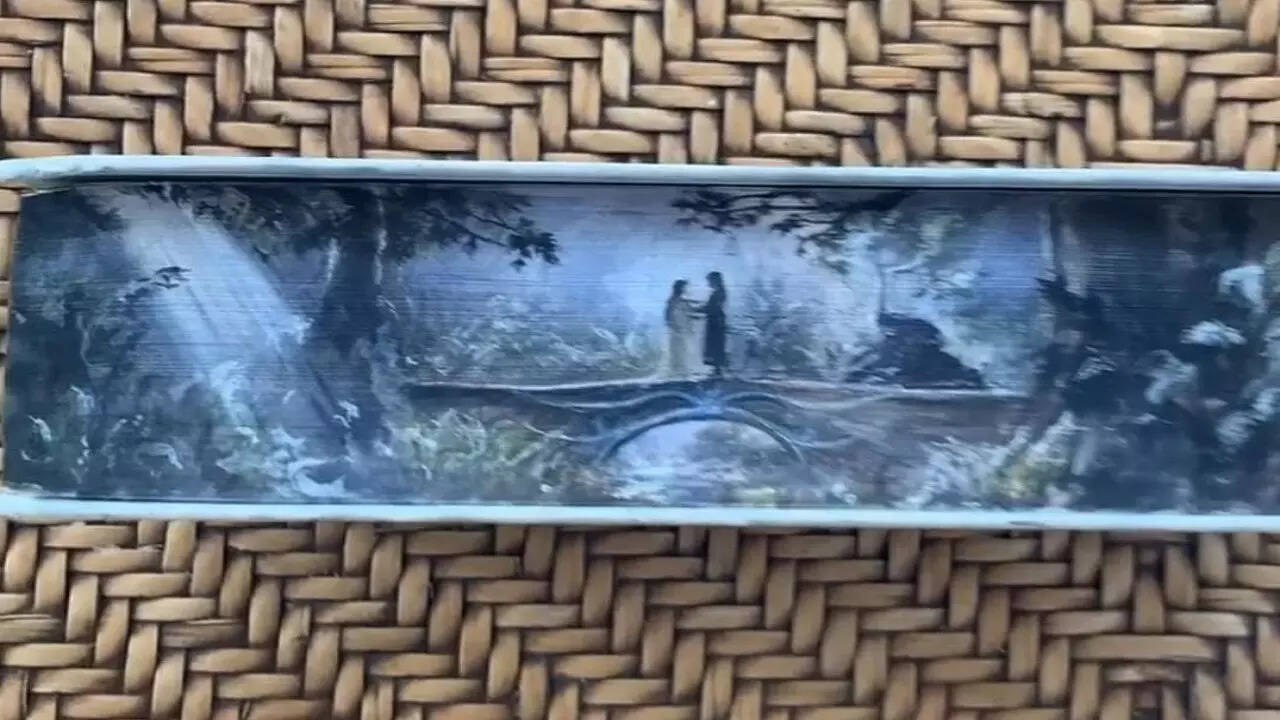 Meet Maisie Matilda! Budding artist goes viral on social media for her beautiful paintings on